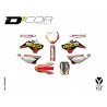 KIT DECO GEICO YCF