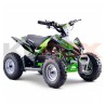 QUAD KEROX E-REX ÉLECTRIQUE BW6 VERT