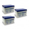 PACK 3 BATTERIES QUAD 800W