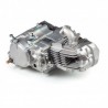 MOTEUR COMPLET DAYTONA ANIMA 224cc
